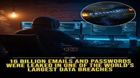 Your Email Was Leaked in a Data Breach — Now What?